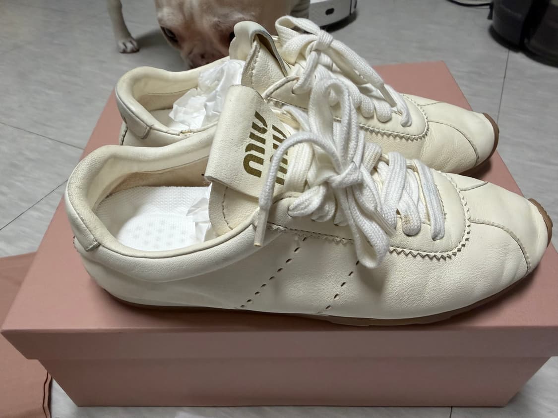 [정품] 미우미우 풀룸 아파 레더 스니커즈 230-235 상품이미지6