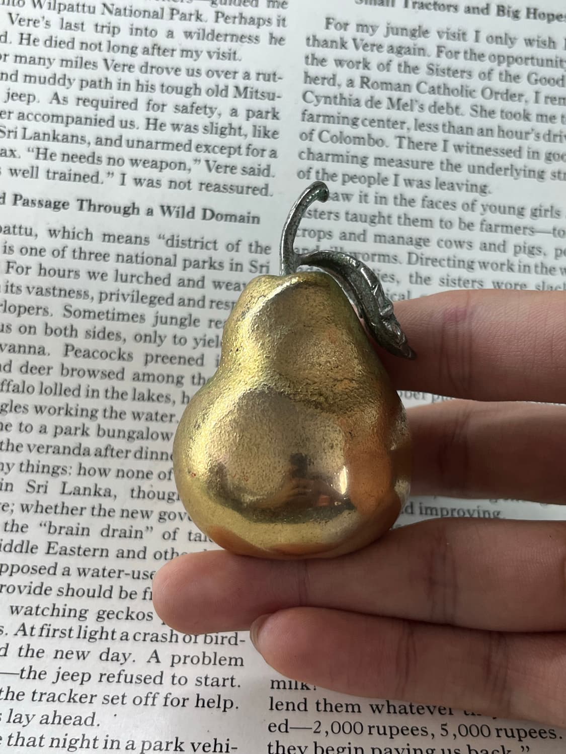 TIMEX 서양배 탁상시계 상품이미지6