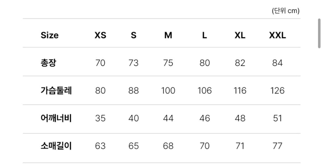 챔피온 헤리티지 빅로고 롱슬리브 상품이미지2