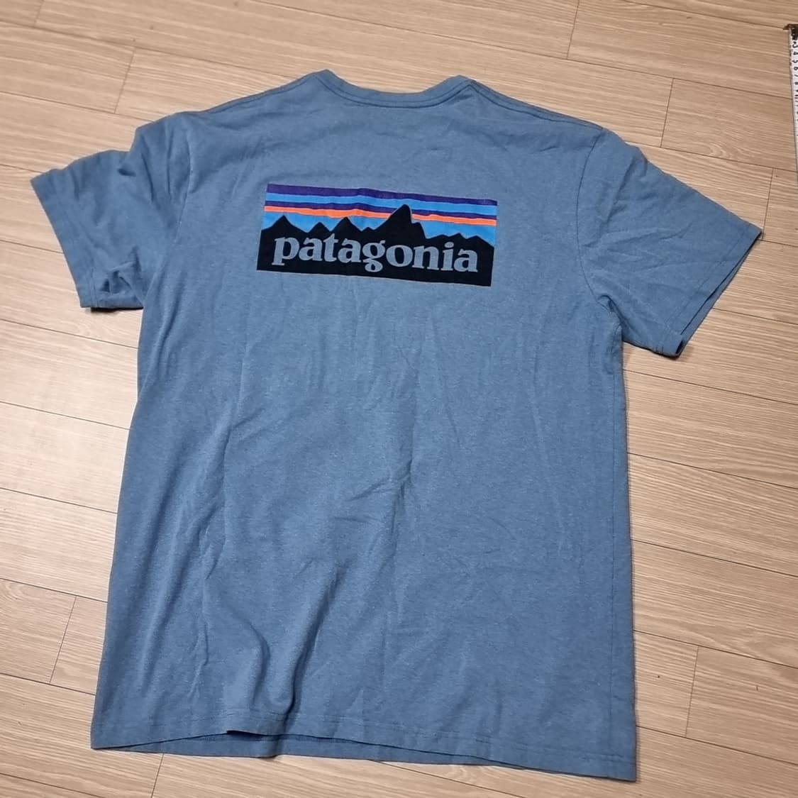 파타고니아 반팔 티셔츠 블루(xl) 상품이미지2