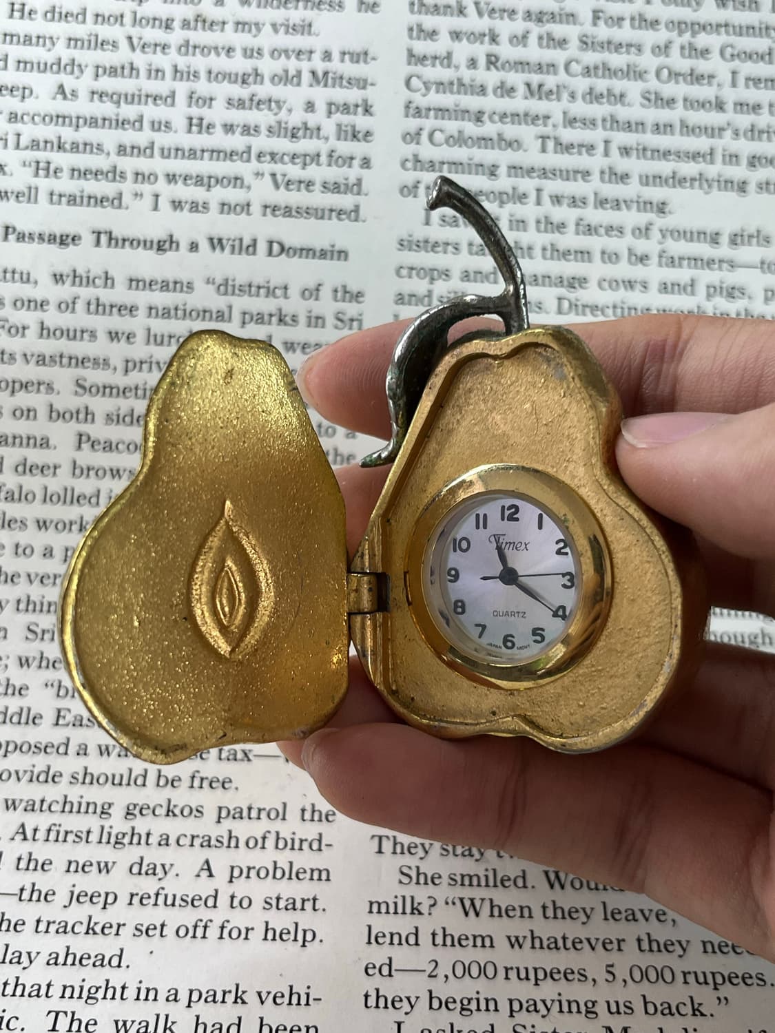 TIMEX 서양배 탁상시계 상품이미지3