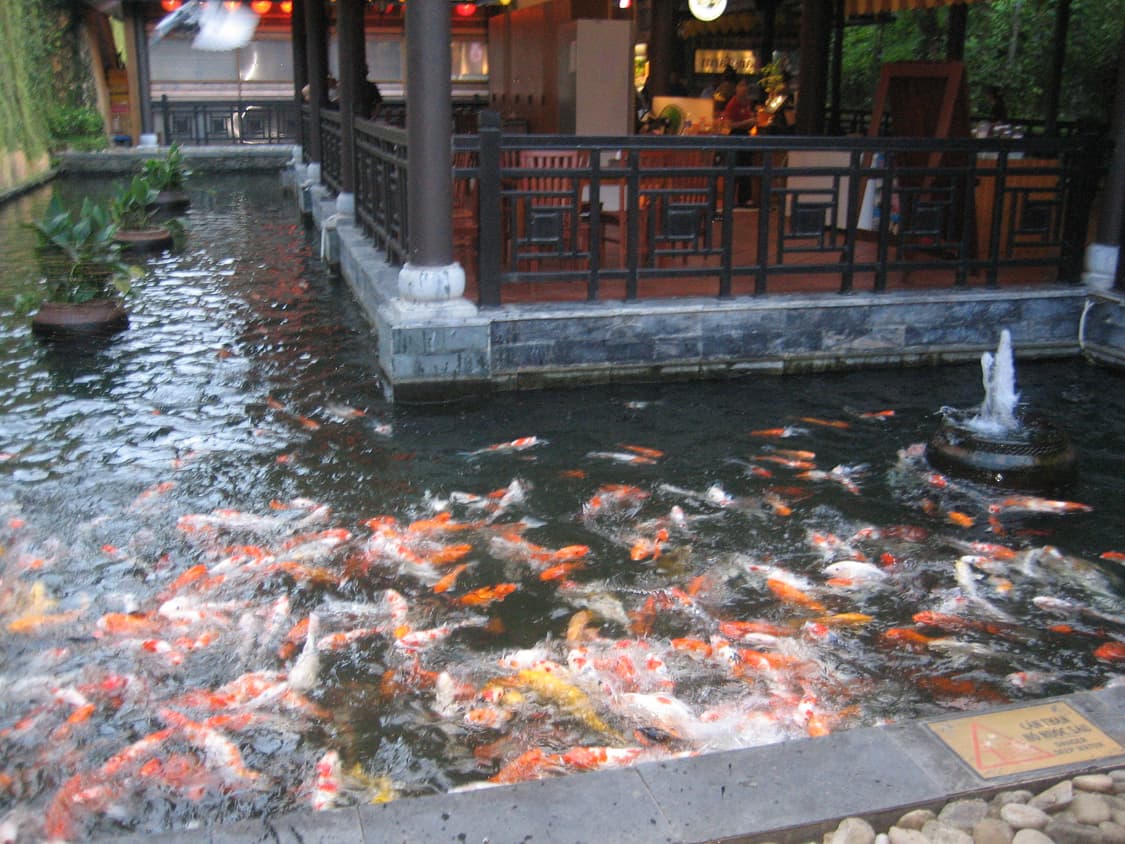 ixus 55 / ixy 60 작례 o 상품이미지7