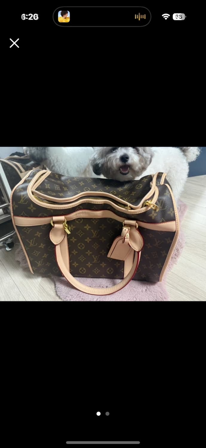 강아지이동가방 상품이미지1