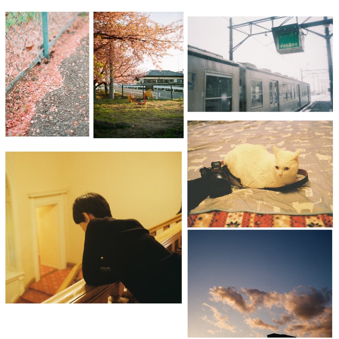 필름카메라 코니카의 명기 c35fd (작례0) 상품이미지3