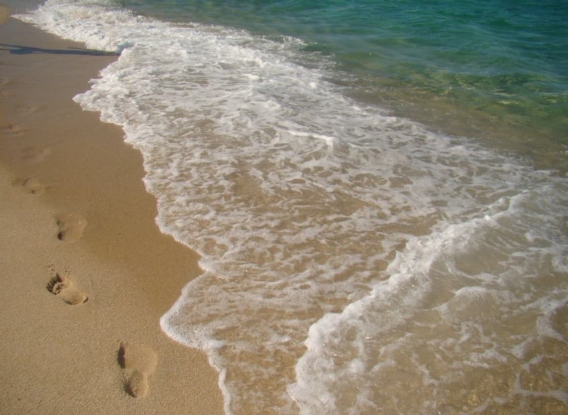 (작례) 소니 사이버샷 dsc-h50 디카 상품이미지6