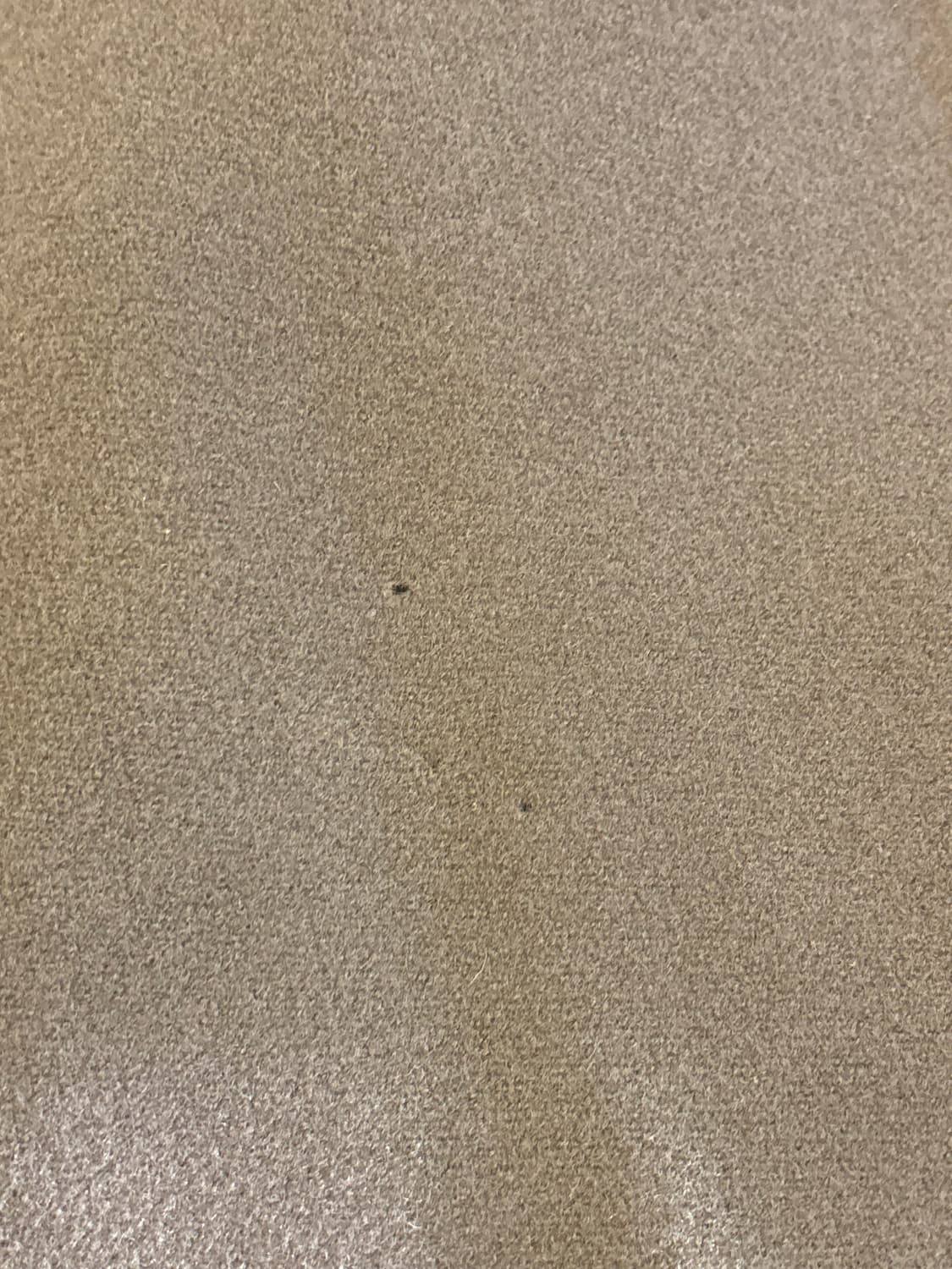 버버리 울 블루종 L 상품이미지6