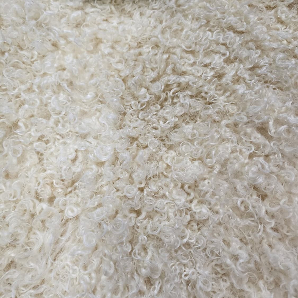 조셉 리얼 양털 자켓 36 상품이미지5