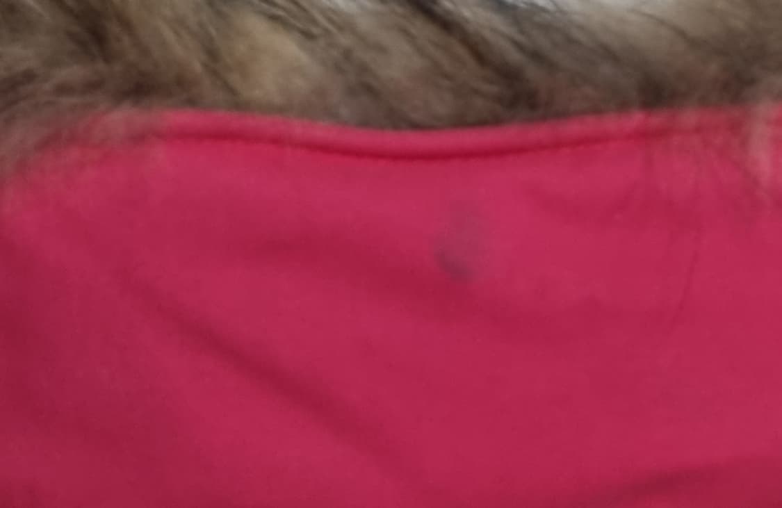 실측 M (66) 디스커버리 핑크 구스다운 패딩 상품이미지6