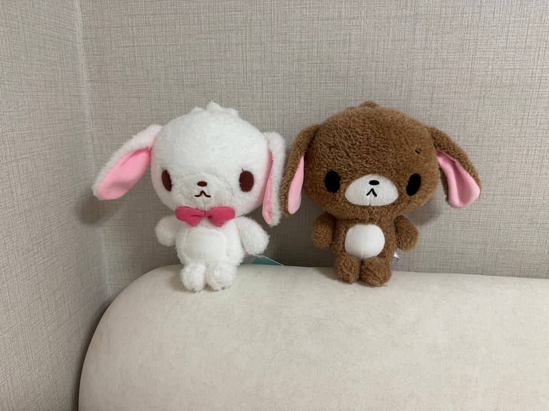 산리오 슈가바니즈 인형 세트 상품이미지1