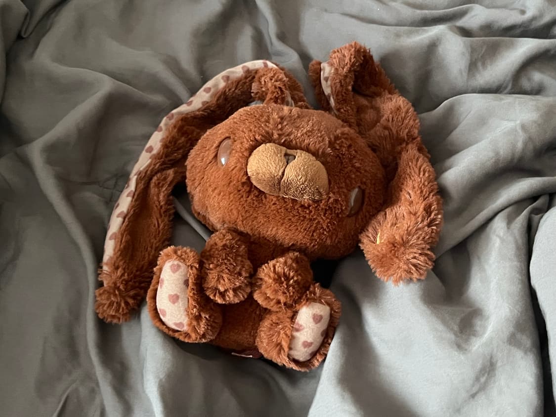 발렌타인 범용토끼 브라운 초코 인형 상품이미지1