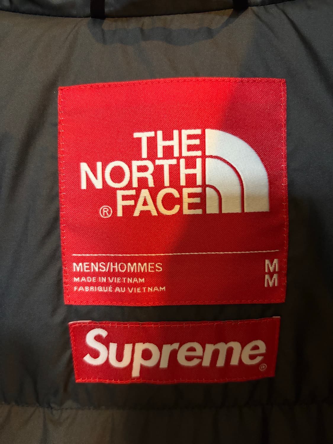 슈프림 노스페이스 페이퍼 프린트 눕시 패딩 상품이미지4