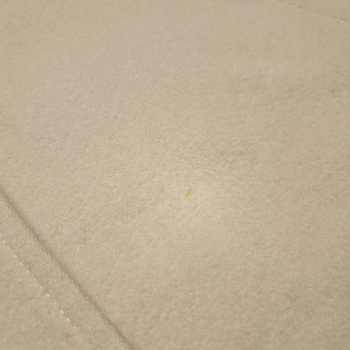 CL289 M 버버리 90s 일본판 울 히든버튼 베이지 코트 상품이미지10