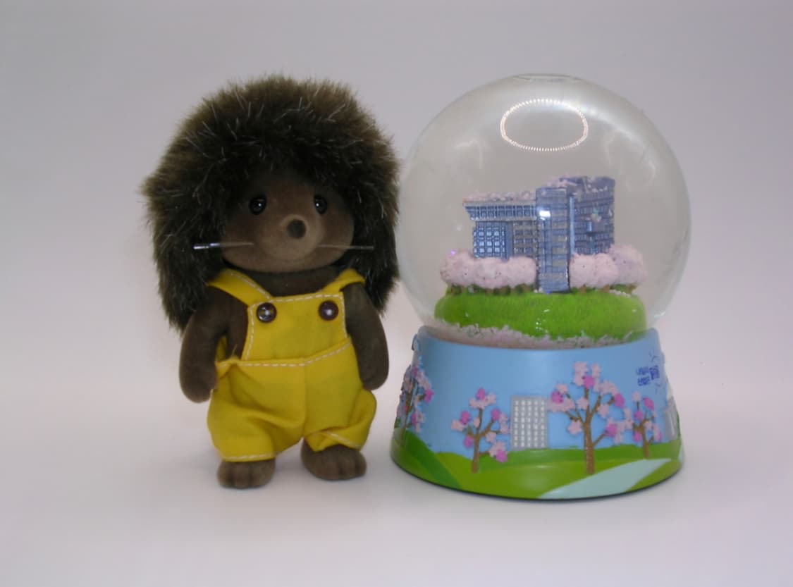 미품급💿니콘 쿨픽스 3100 ✨ 작고 가벼운 감성 똑딱이  상품이미지7