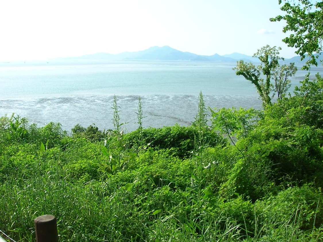 니콘쿨픽스5600 / 작례O 상품이미지10