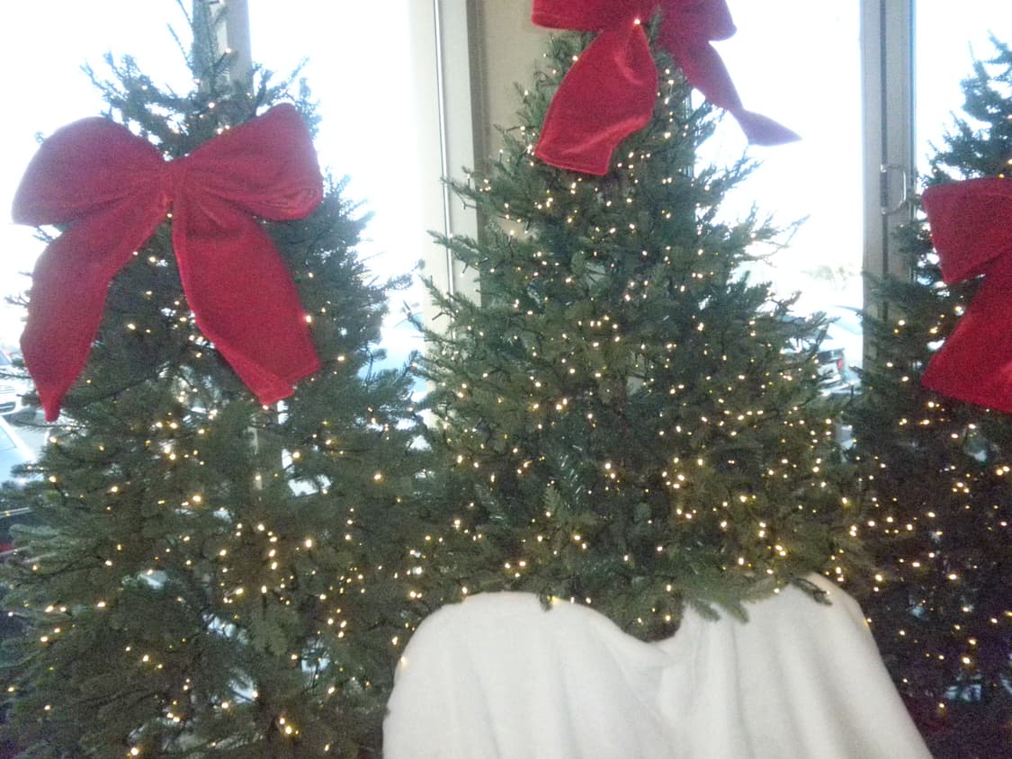 (풀박) Olympus Mju 올림푸스 뮤 7010 하츠투하츠 유하 디카 상품이미지10