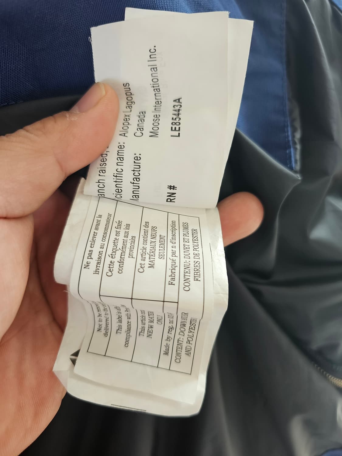 무스너클 스털링 파카 / 블루 컬러 / 남성 S 상품이미지8