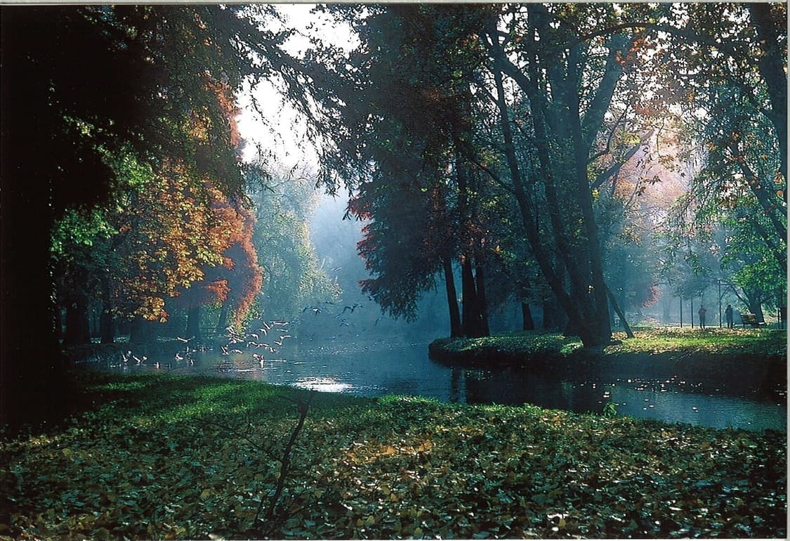 작례O 명기 보이그랜더 삼성 케녹스 z115f 파노라마 필름카메라 빈티지 상품이미지3