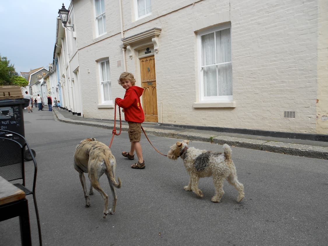 (색감/감성) 니콘 쿨픽스 Nikon Coolpix S3100 상품이미지10