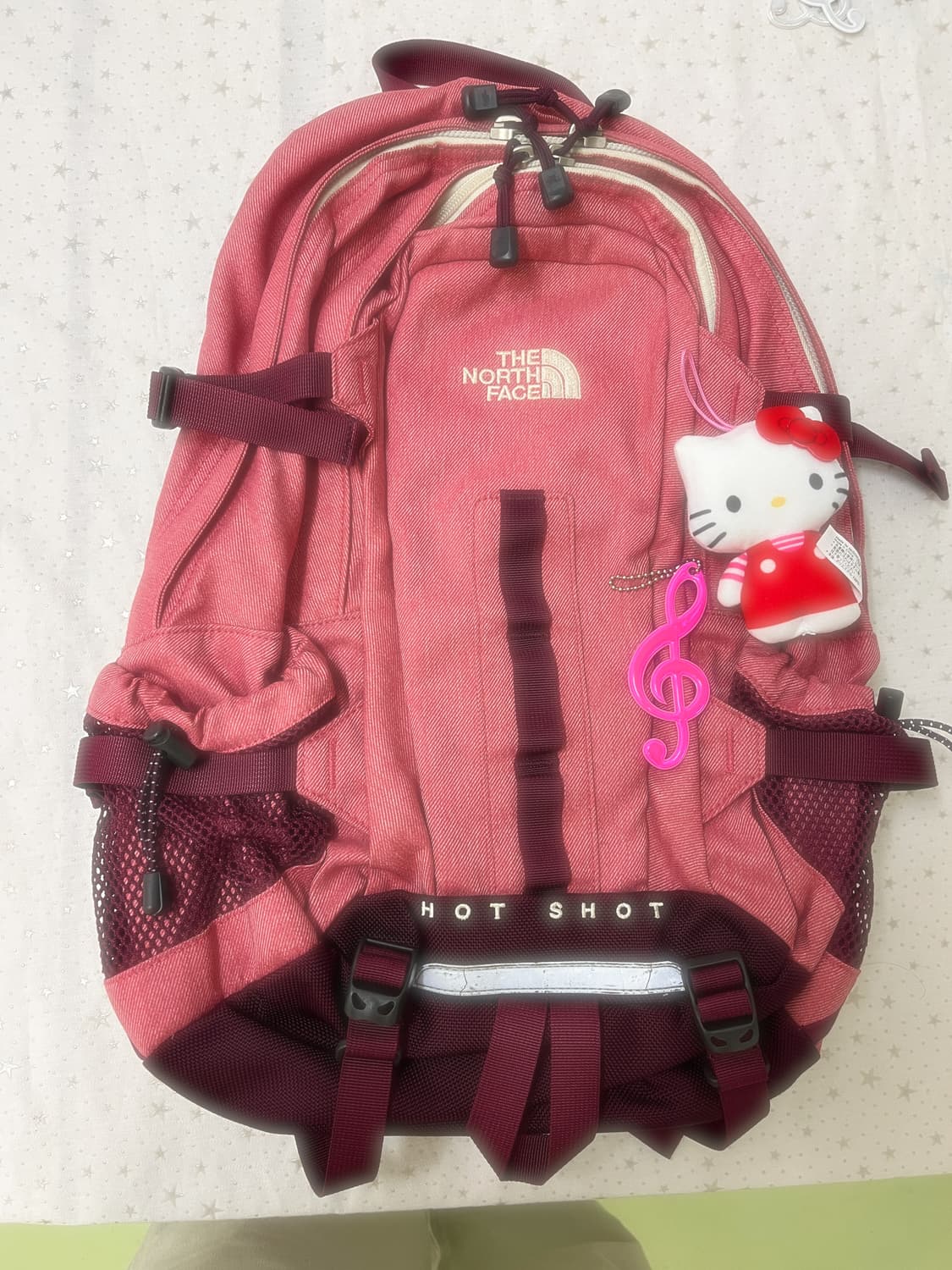 노스페이스 HOT SHOT 핑크 백팩 🎀 상품이미지2