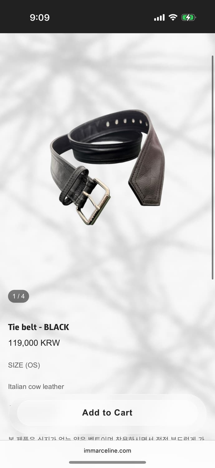 Marceline tie belt (black) 상품이미지1