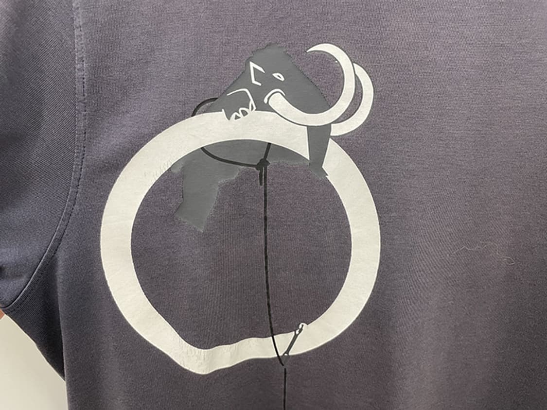 MAMMUT (L) 상품이미지8