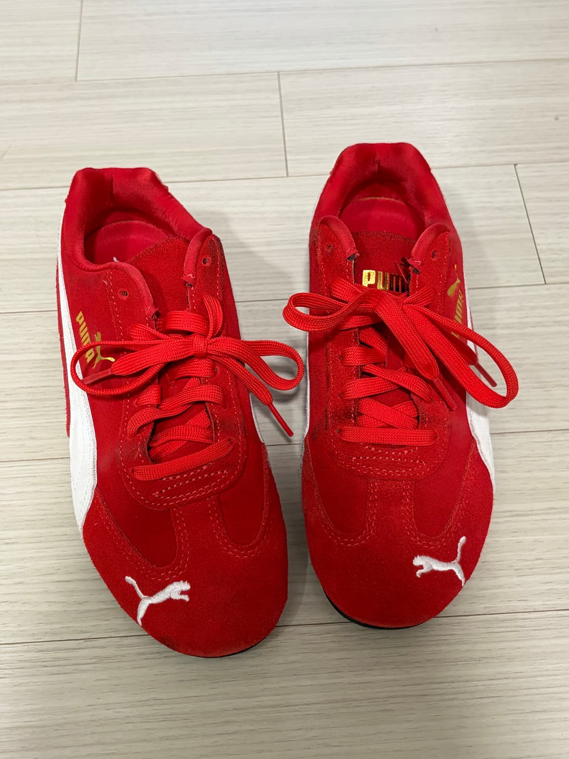 스피드캣 (240) 상품이미지1