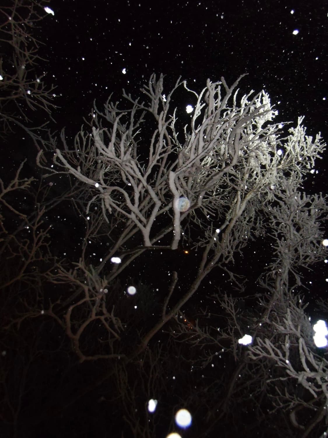 소장디카) 카시오 EX-ZS100 블랙 (Casio EX-ZS100) 상품이미지4