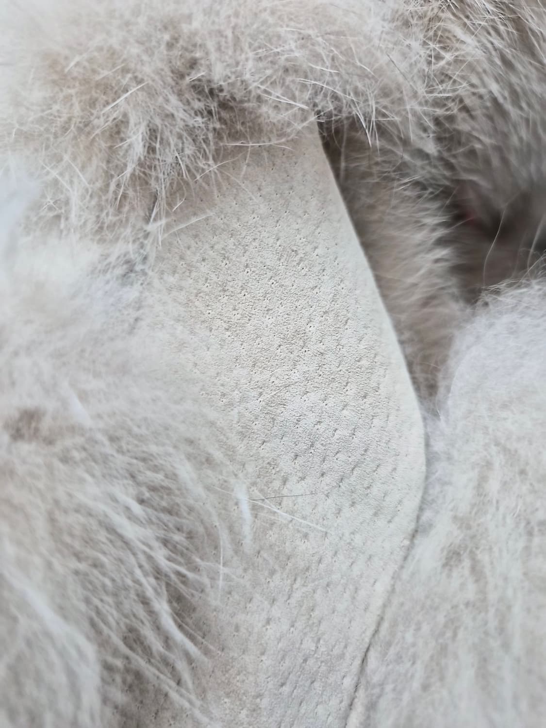 수입 폭스퍼. 베스트 새상품 상품이미지5