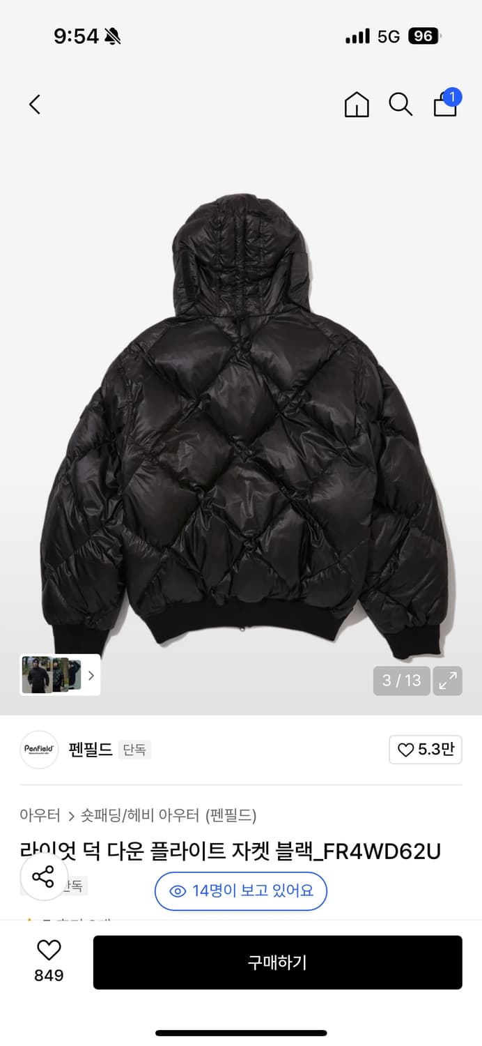 펜필드 25fw 라이엇 덕다운 플라이트 패딩 블랙 L 상품이미지2