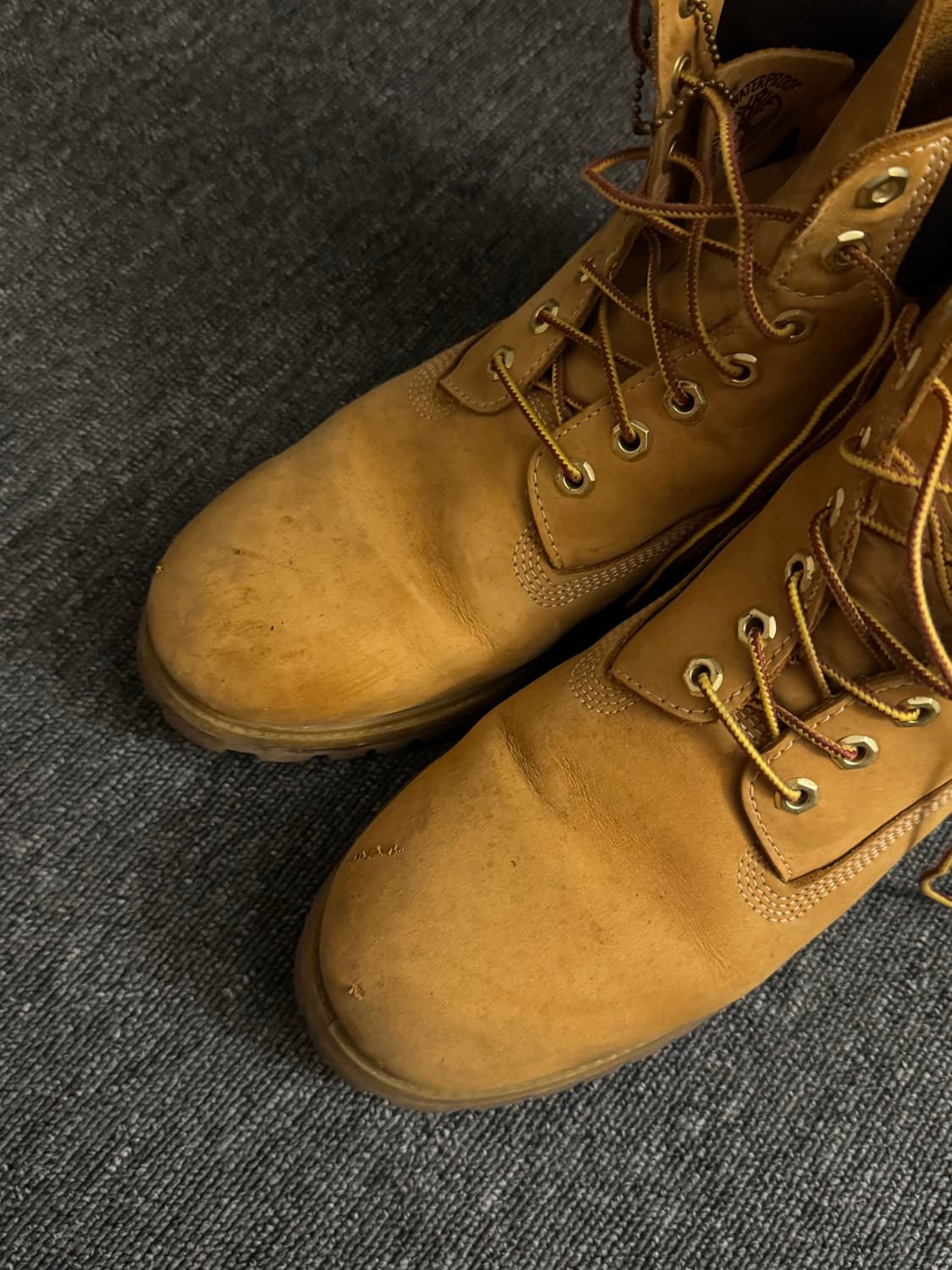 팀버랜드 6인치 280 상품이미지2