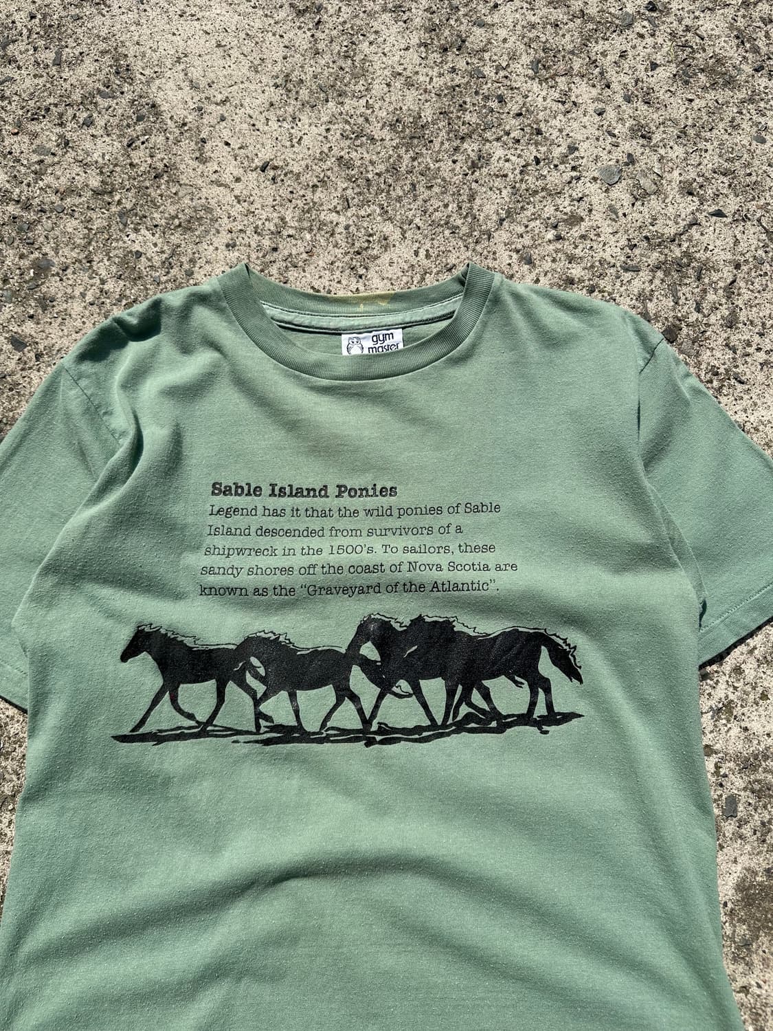 90’s Canada Gym master horse logo T 상품이미지4