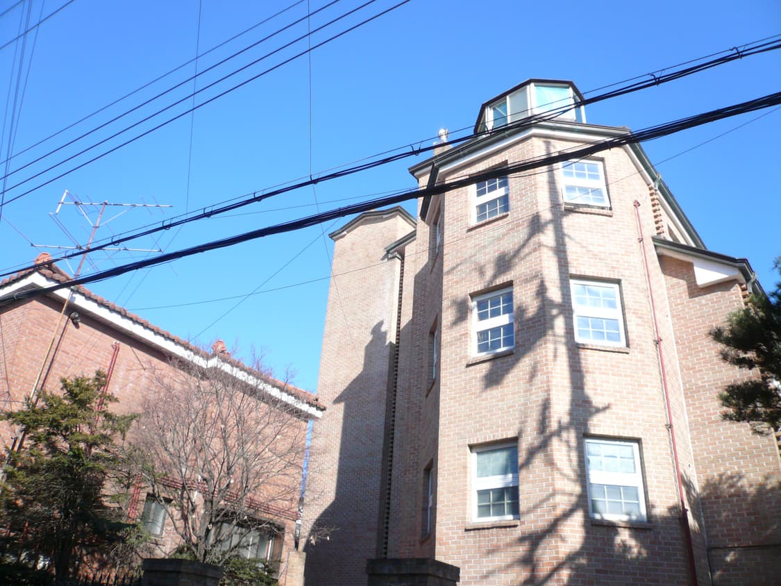 파나소닉 루믹스 DMC-FX50 연핑크 디카 Panasonic Lumix 상품이미지10