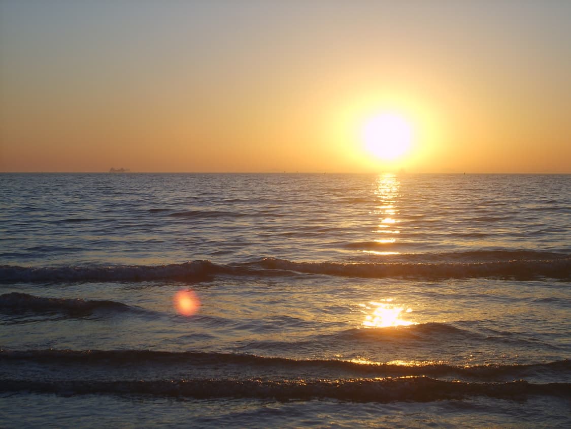 (작례 O)삼성 케녹스 kenox s500 상품이미지7