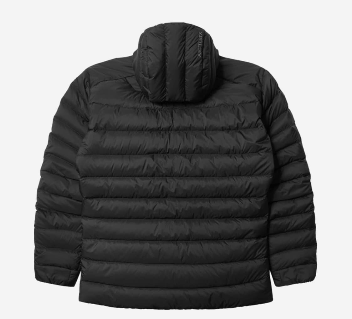 아크테릭스 세륨 후디 블랙 상품이미지2