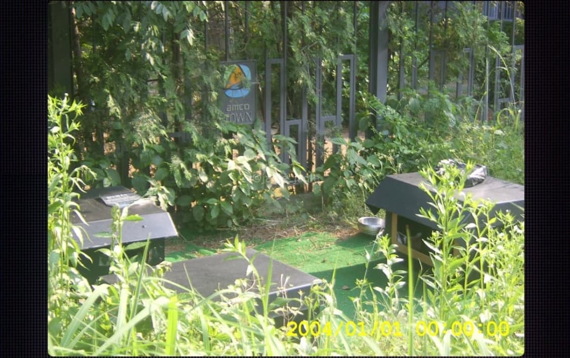 Samsung kenox a5 상품이미지7