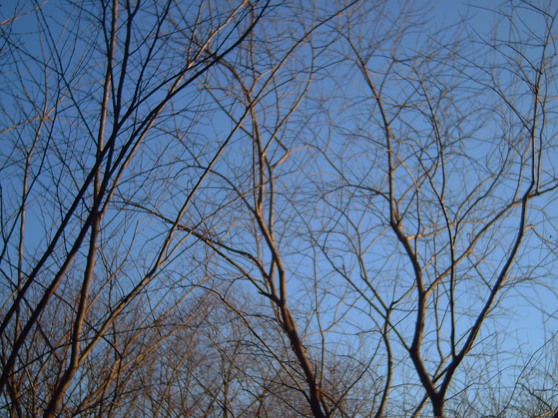 아이스팬 iSpan DDV-720 빈티지 캠코더 디카 상품이미지6