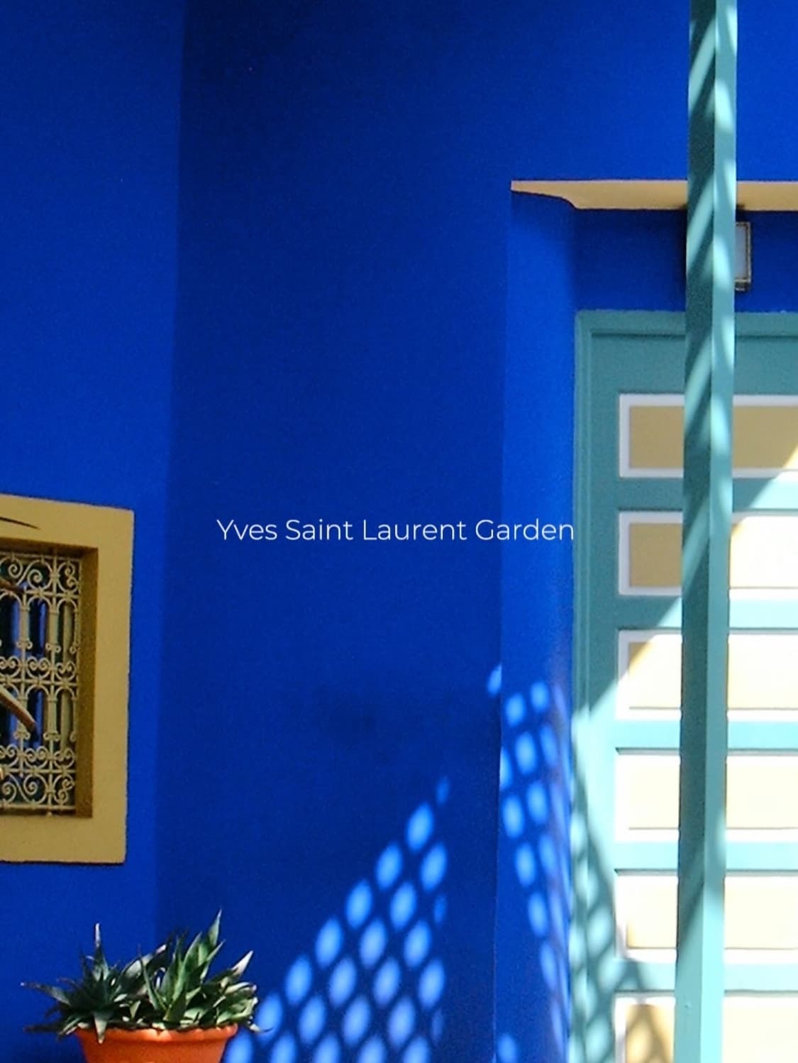 라이카 디지룩스 줌 민트급 상품이미지6