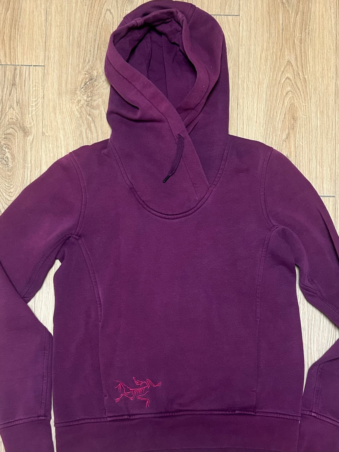 아크테릭스 빅로고 후드티 상품이미지3