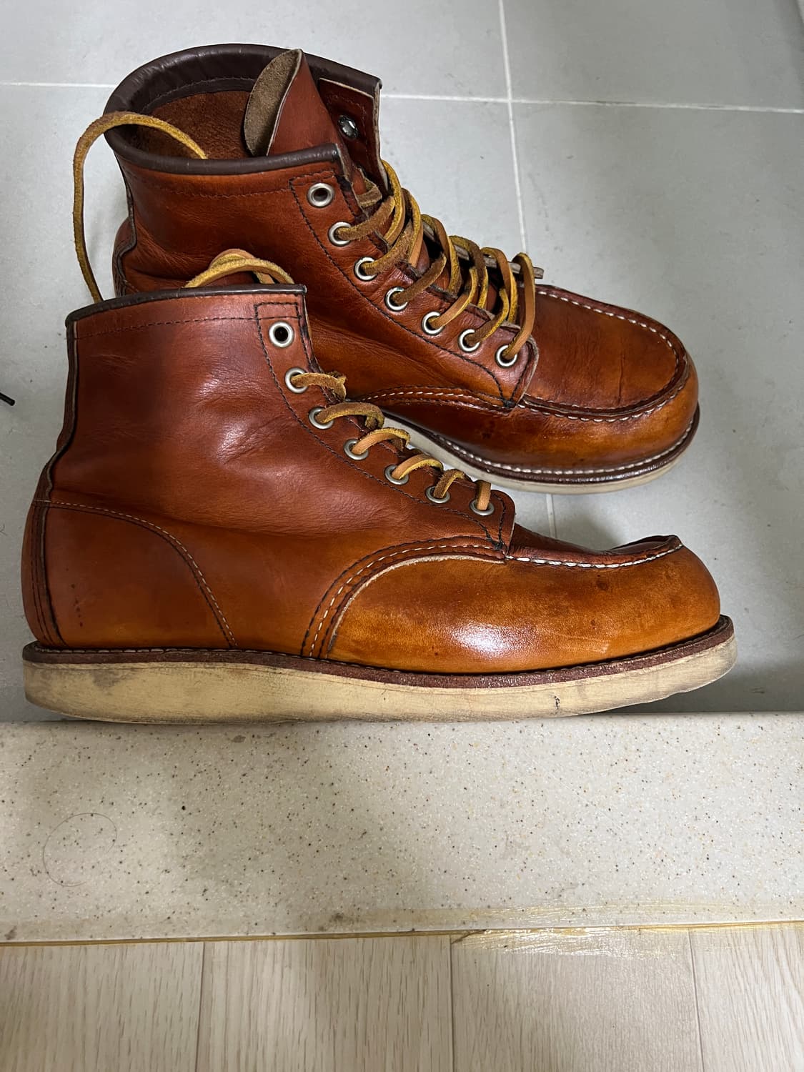 택포13) 레드윙 목토 875 7.5D 255 상품이미지3