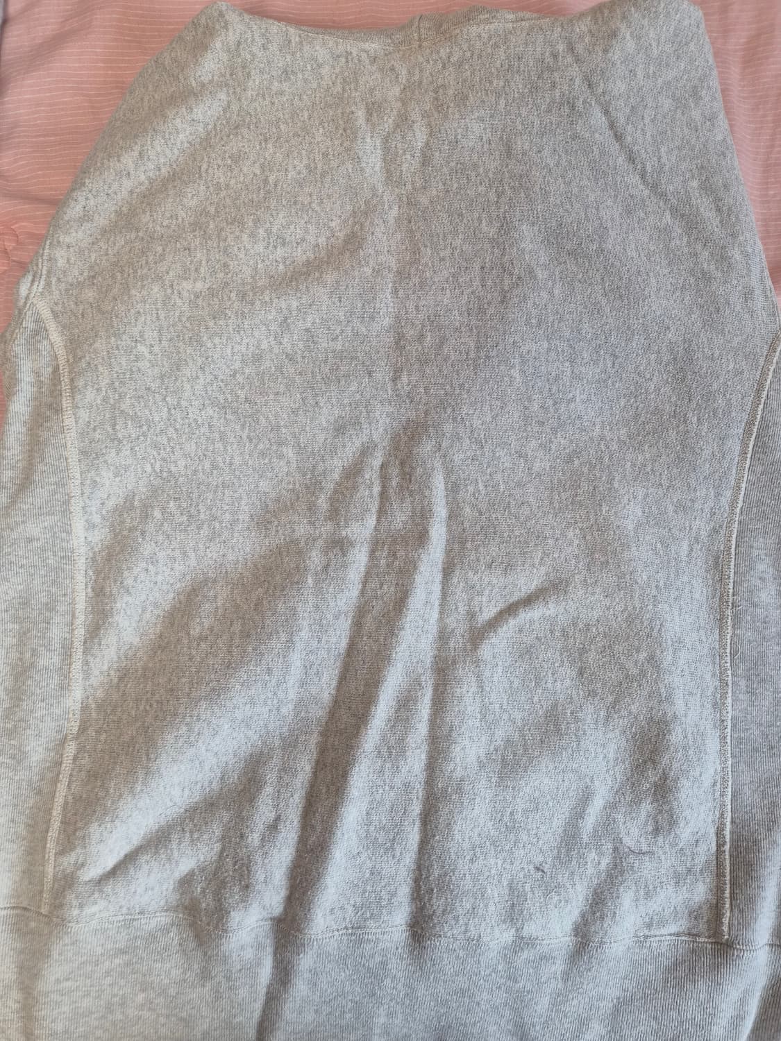 챔피온 블루택 재팬 후드티 L 상품이미지5