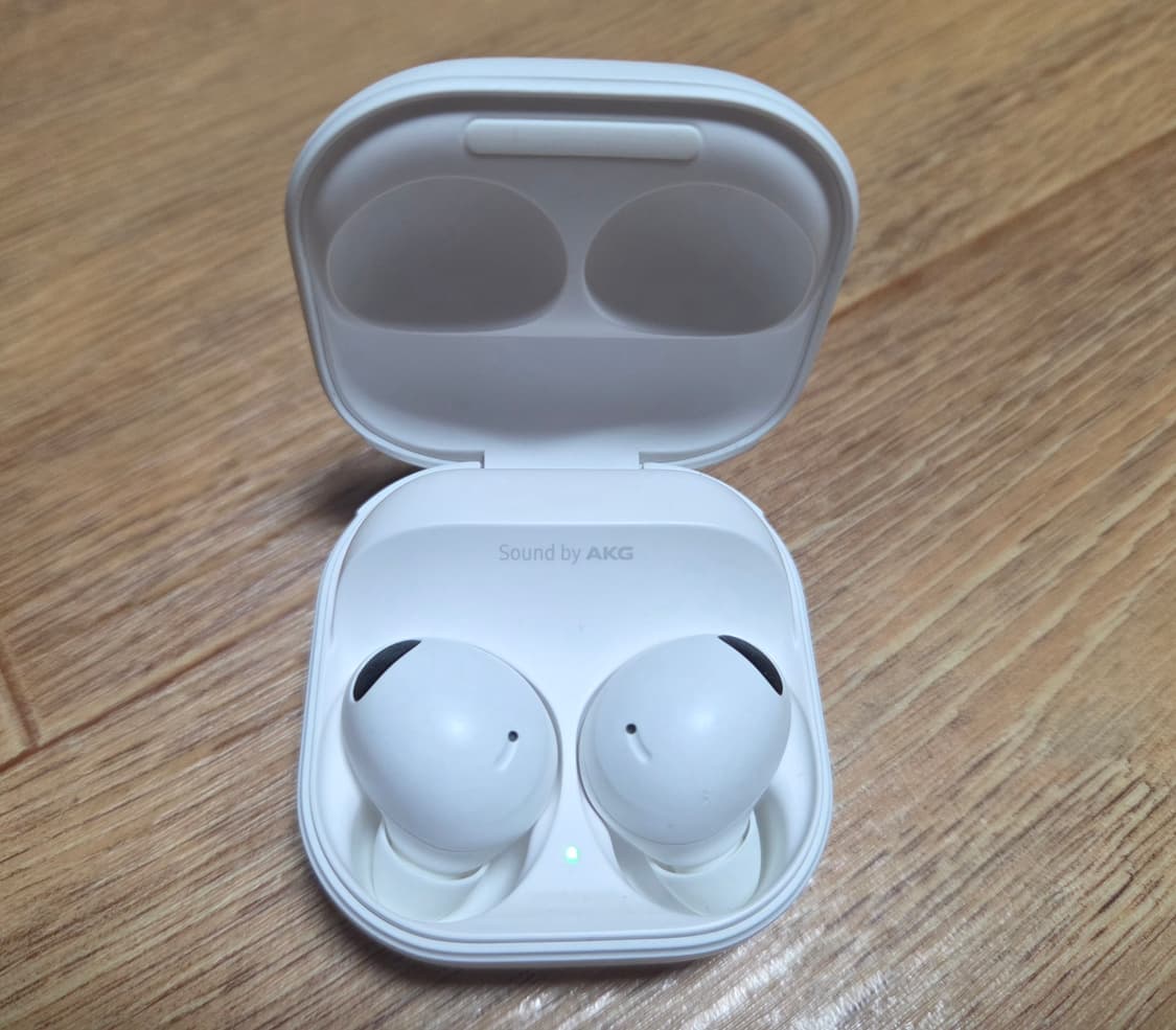 갤럭시 버즈2 프로 화이트 상품이미지4