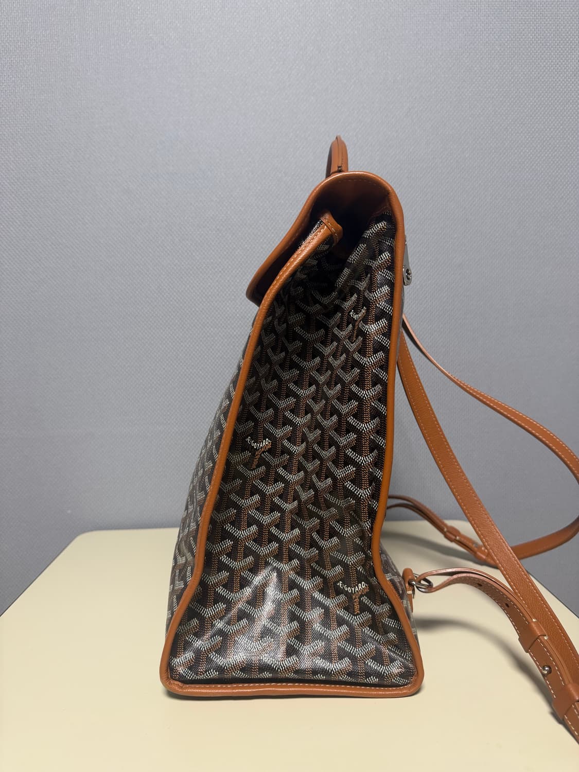 Goyard 생레제르 백팩 상품이미지6
