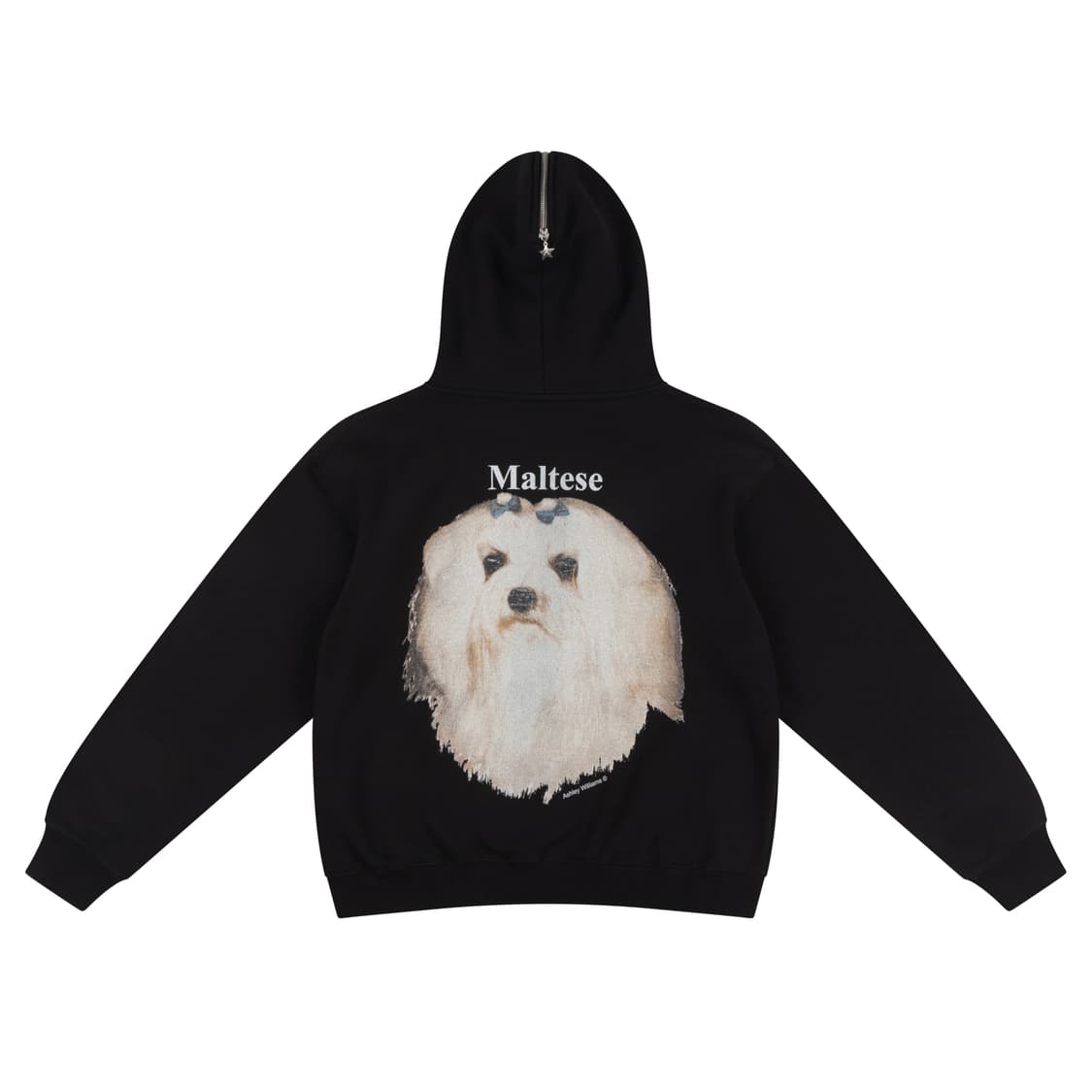 [S,M,L]애슐리 윌리엄스 25fw MALTESE 버터플라이 후드집업 상품이미지7