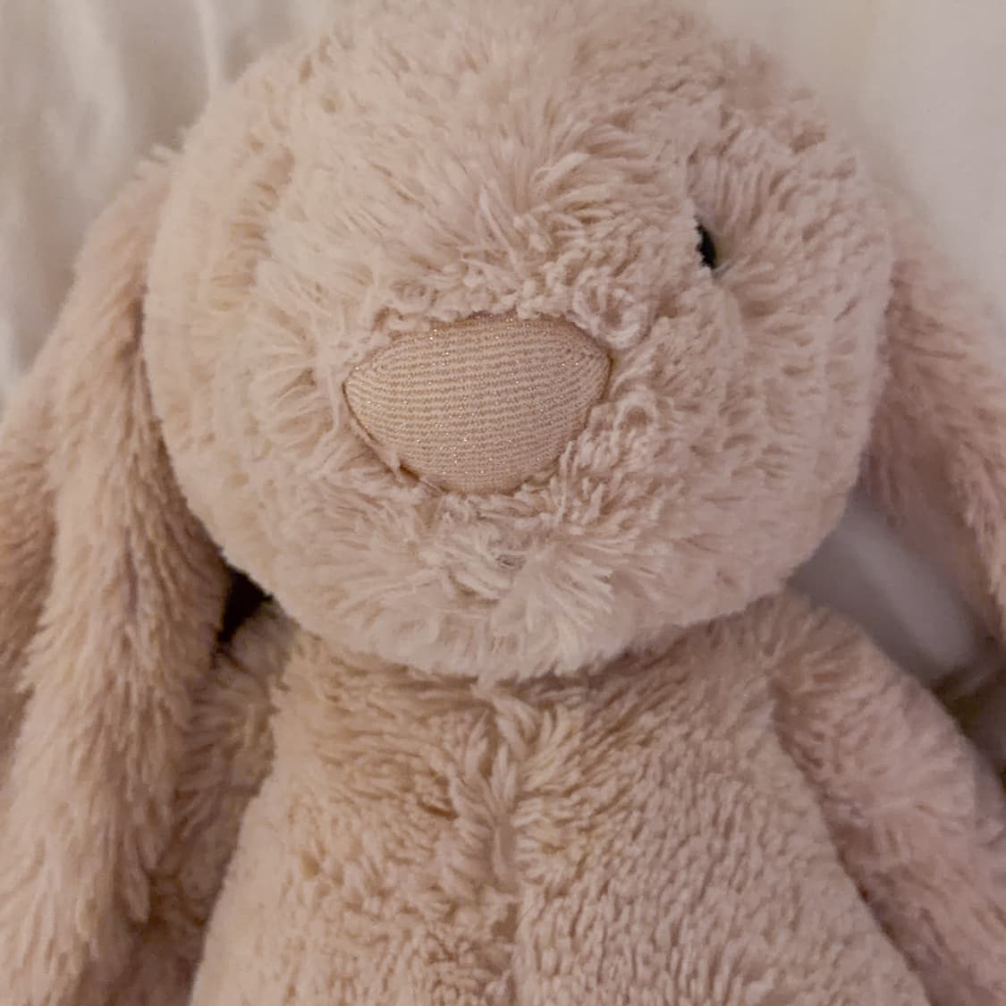 (희귀) 젤리캣 바쉬풀 럭스 버니 윌로우 XL 상품이미지2