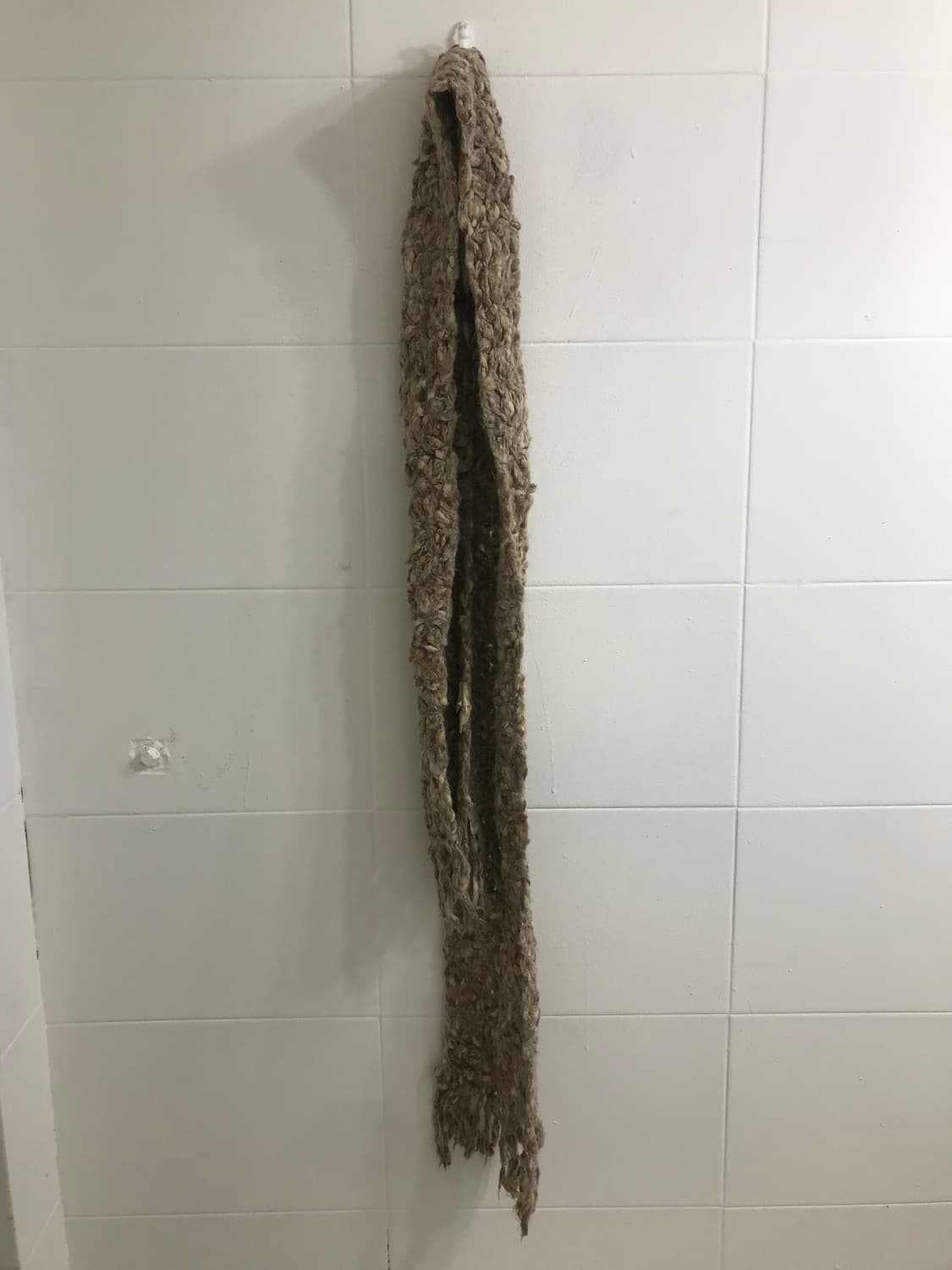 버버리 베이지 펌킨팬츠 모리걸 코디세트 상품이미지9