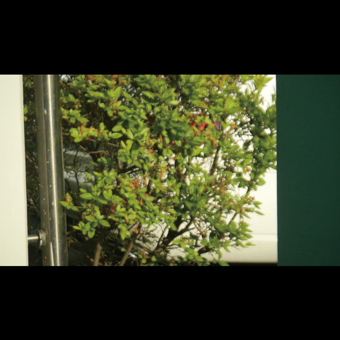 작례⭕️ 니콘 쿨픽스 S70 빈티지 디카 디지털카메라 상품이미지3