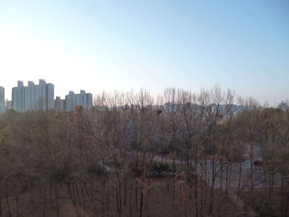 Panasonic Lumix DMC-FS40 (파나소닉 루믹스) 상품이미지9