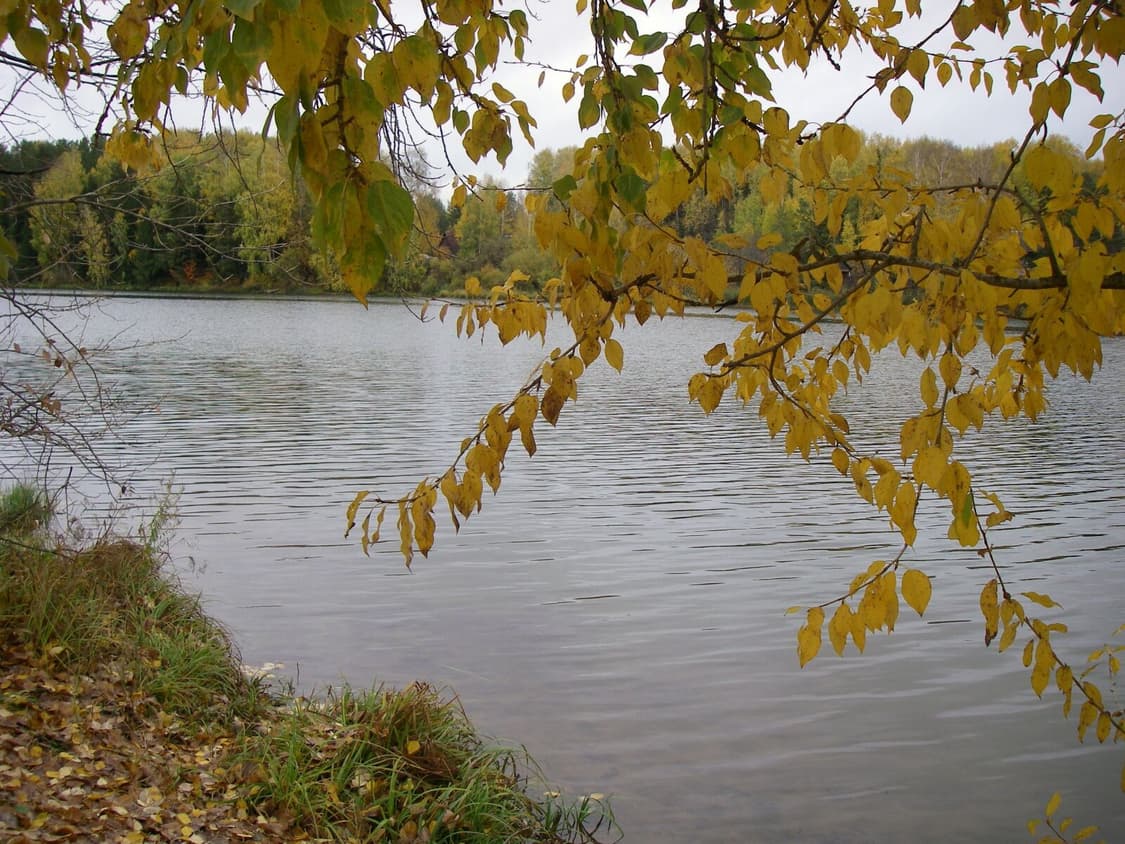 펜탁스 옵티오 W20 빈티지 디카 판매합니다 상품이미지7