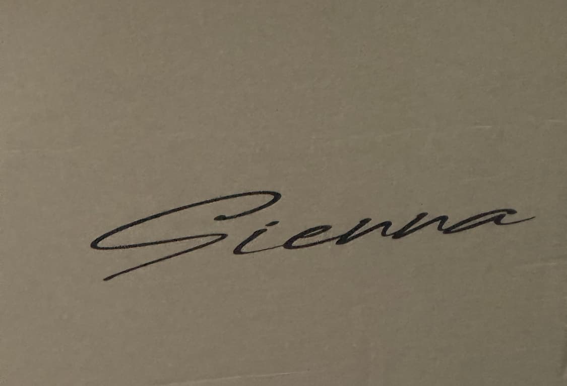 시에나 레더 하우스 왁스 헬멧백 상품이미지2