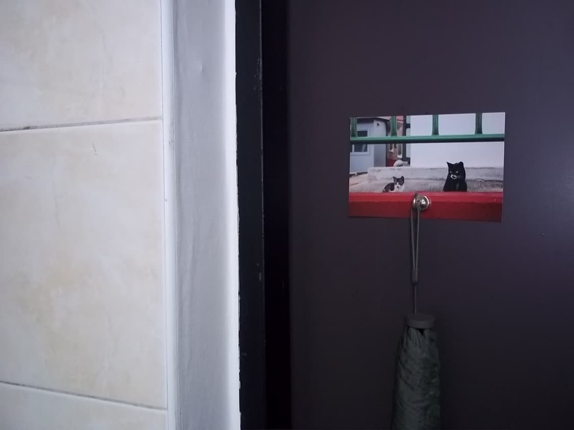 코닥 이지쉐어 m530 상품이미지6